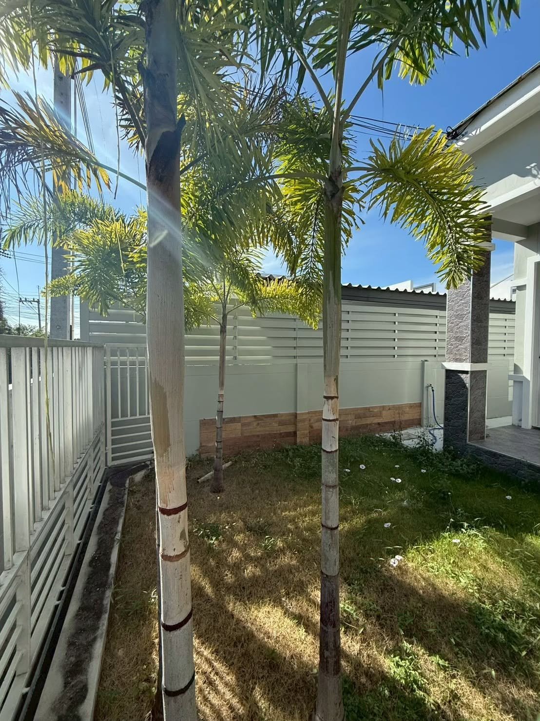 RS260805 Charming 3-Bedroom Single House with Attic for Rent Near Maprachan Lake