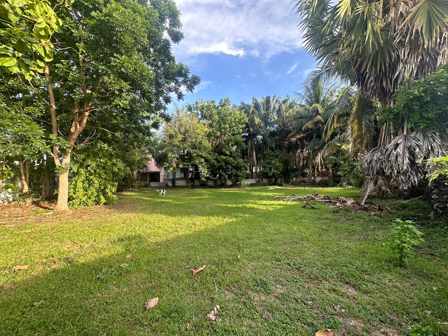 SST260903 Prime Land - 300 Sq.w. Developer Plot in Soi Phon Prapha Nimit 15