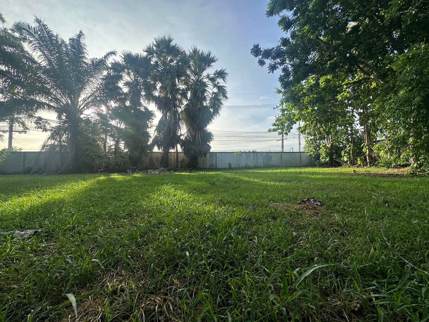 SST260903 Prime Land - 300 Sq.w. Developer Plot in Soi Phon Prapha Nimit 15