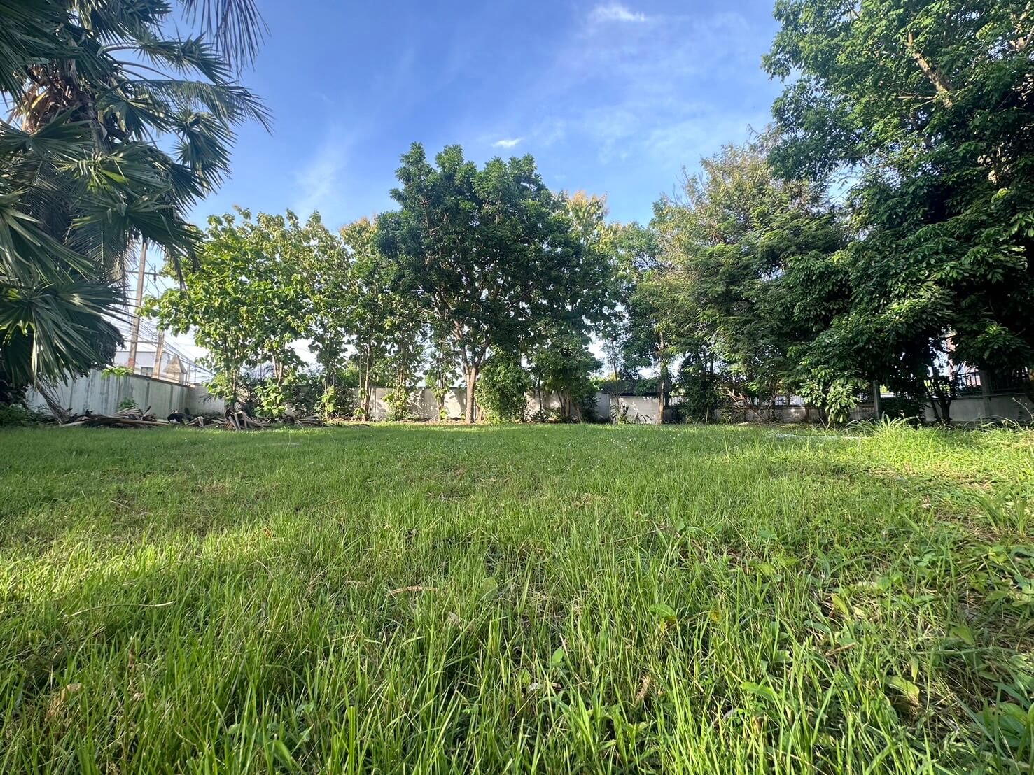 SST260903 Prime Land - 300 Sq.w. Developer Plot in Soi Phon Prapha Nimit 15