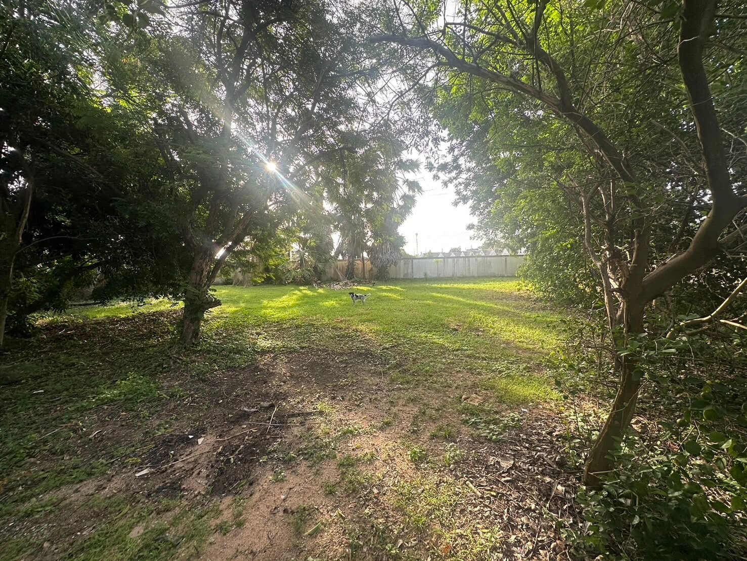 SST260903 Prime Land - 300 Sq.w. Developer Plot in Soi Phon Prapha Nimit 15